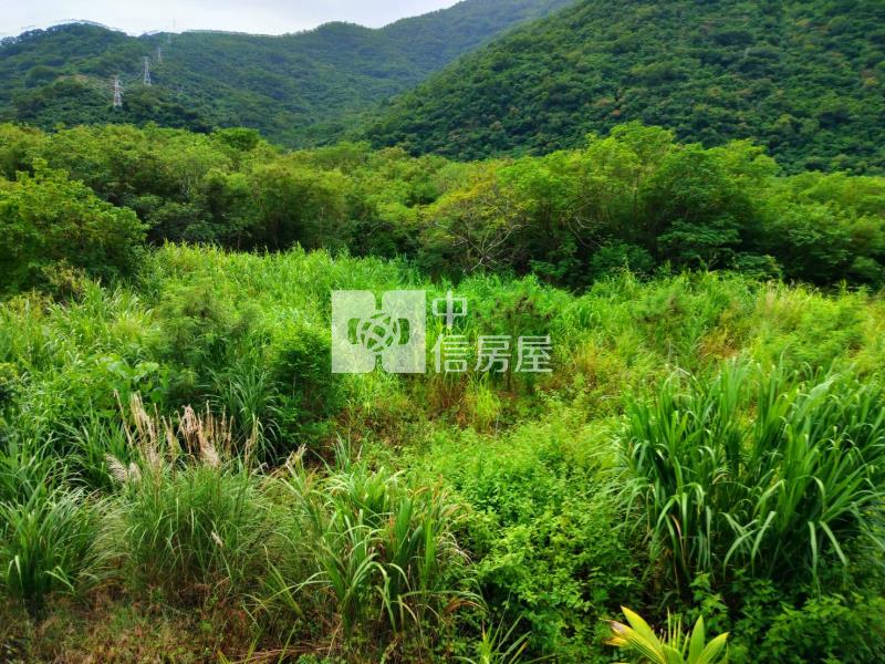 J1-44金崙社區內便宜農地(專任)房屋室內格局與周邊環境