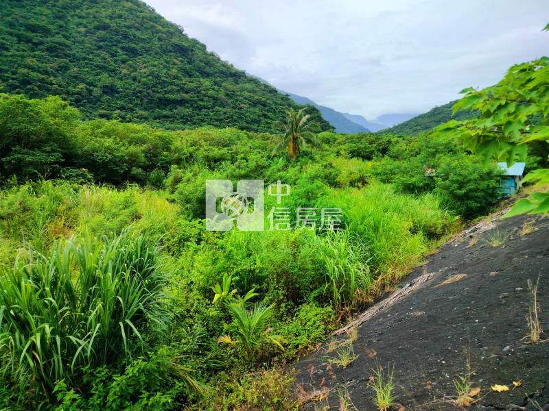 J1-44金崙社區內便宜農地(專任)房屋室內格局與周邊環境