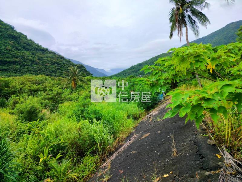 J1-44金崙社區內便宜農地(專任)房屋室內格局與周邊環境