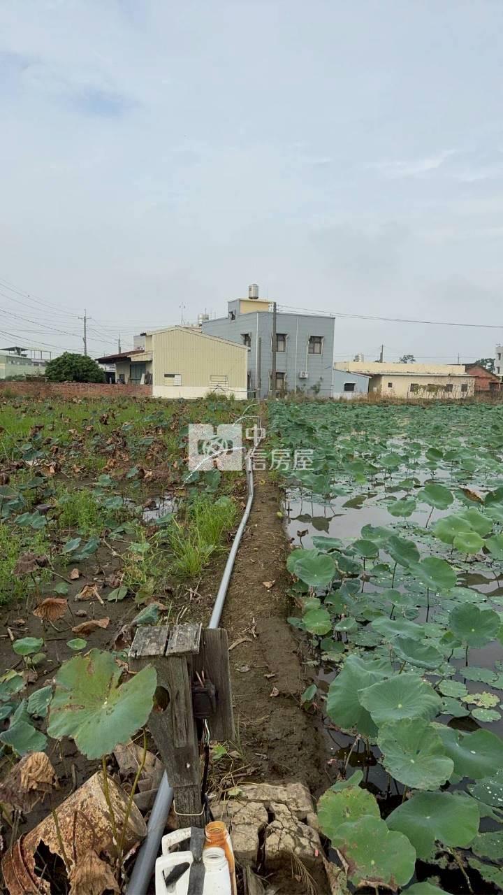 民雄都計內小筆農地(一)房屋室內格局與周邊環境