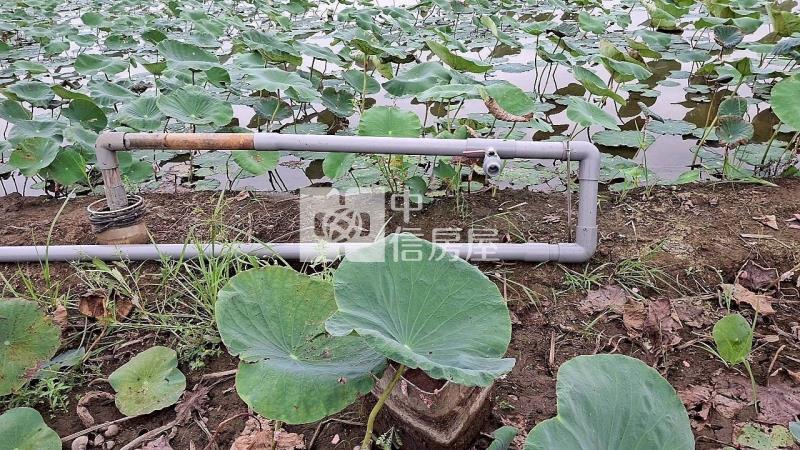 民雄都計內小筆農地(二)房屋室內格局與周邊環境