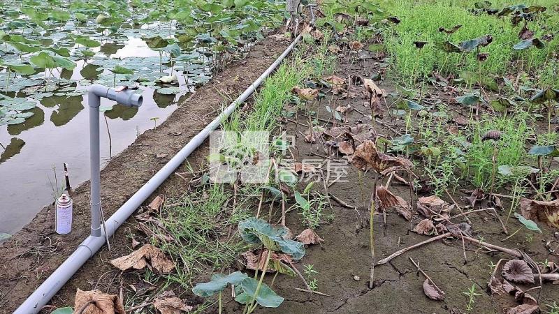 民雄都計內小筆農地(二)房屋室內格局與周邊環境