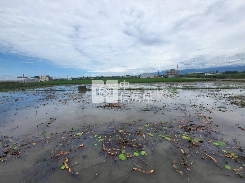 民雄都計內小筆農地(三)房屋室內格局與周邊環境