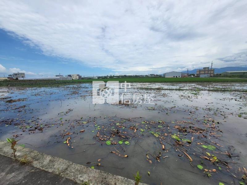 民雄都計內小筆農地(三)房屋室內格局與周邊環境
