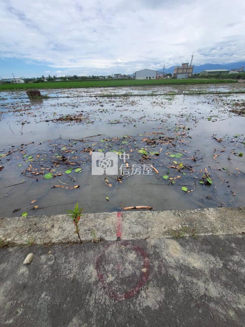 民雄都計內小筆農地(三)房屋室內格局與周邊環境