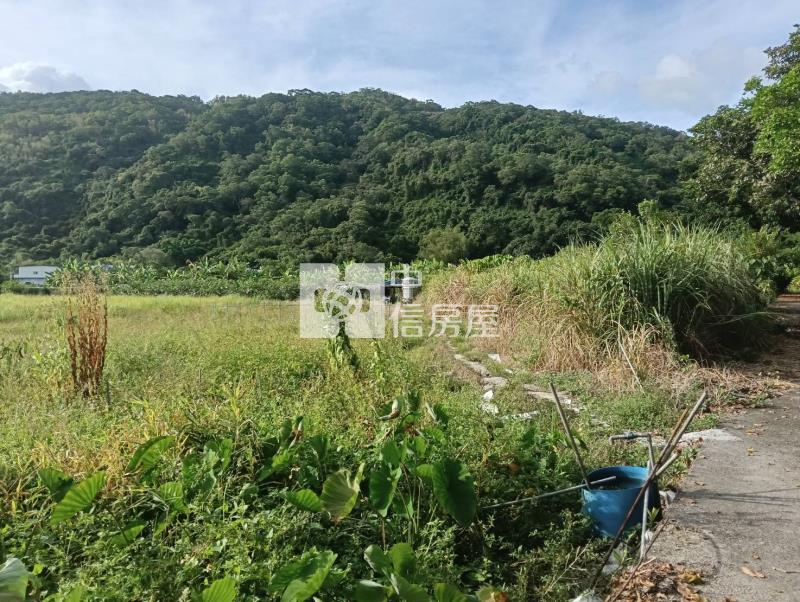 頭城國中旁超大坪數住宅建地房屋室內格局與周邊環境