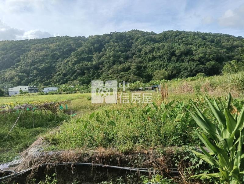 頭城國中旁超大坪數住宅建地房屋室內格局與周邊環境