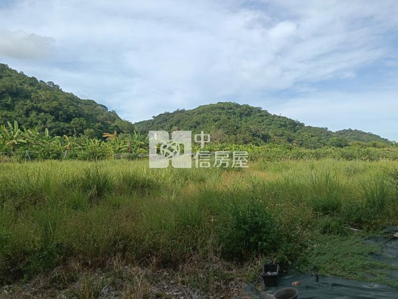 頭城國中旁超大坪數住宅建地房屋室內格局與周邊環境