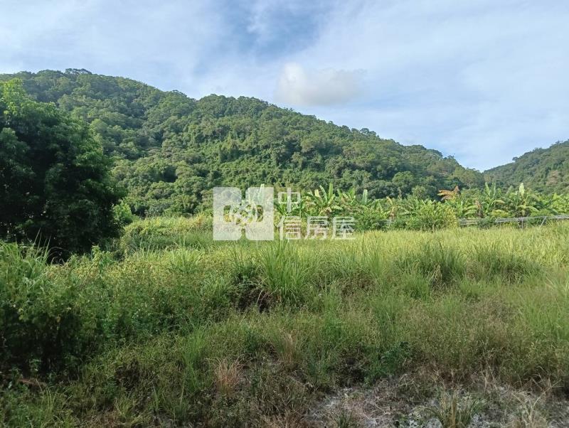 頭城國中旁超大坪數住宅建地房屋室內格局與周邊環境