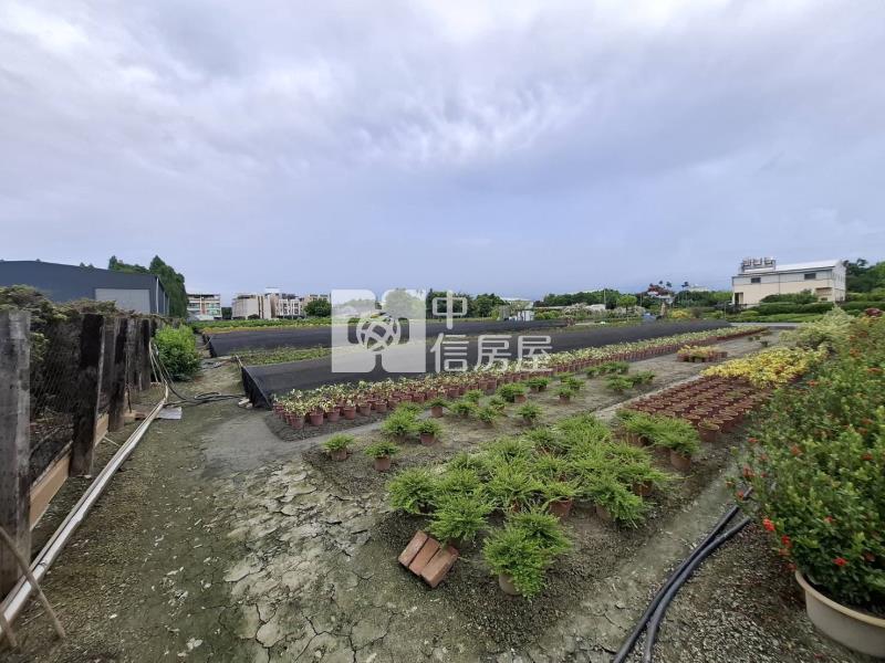 埔心六米路邊種苗園美農地房屋室內格局與周邊環境