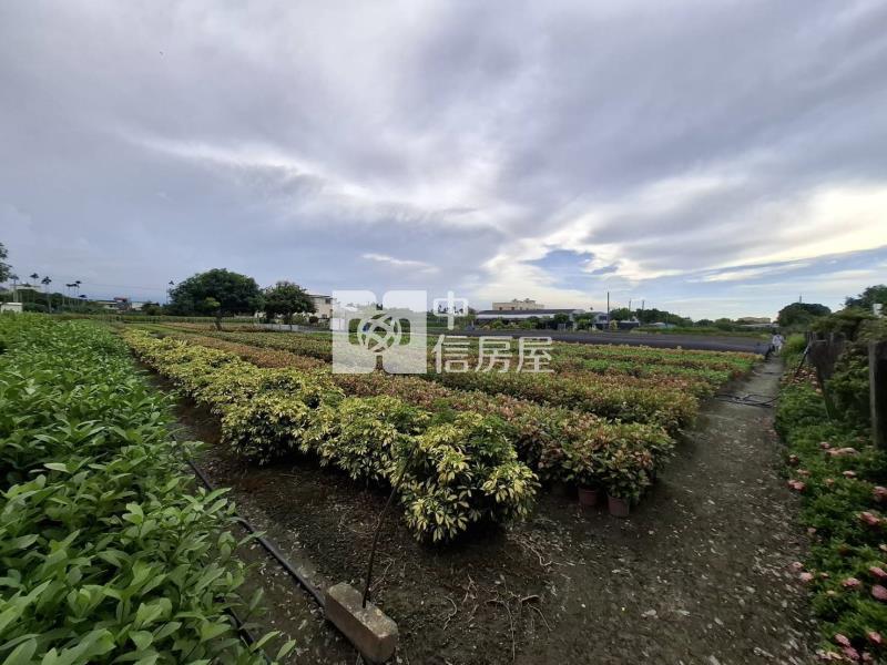 埔心六米路邊種苗園美農地房屋室內格局與周邊環境