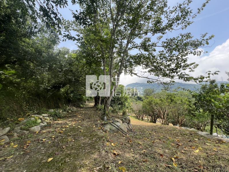 f-36苗栗休閒農場+丙建房屋室內格局與周邊環境