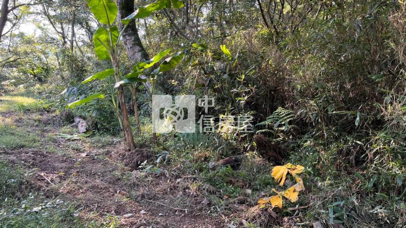 兔子坑開心農場房屋室內格局與周邊環境