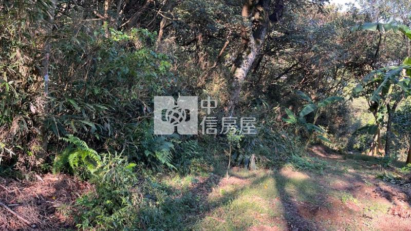 兔子坑開心農場房屋室內格局與周邊環境