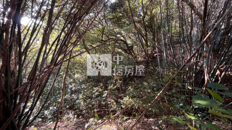 兔子坑開心農場房屋室內格局與周邊環境