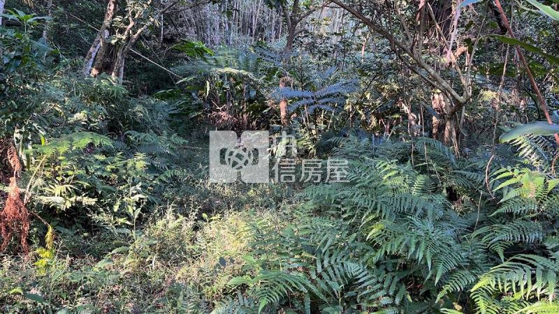 兔子坑開心農場房屋室內格局與周邊環境