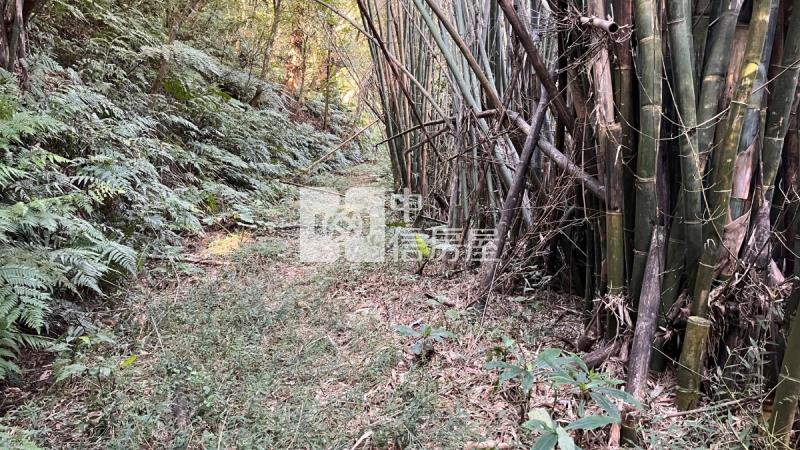 兔子坑開心農場房屋室內格局與周邊環境