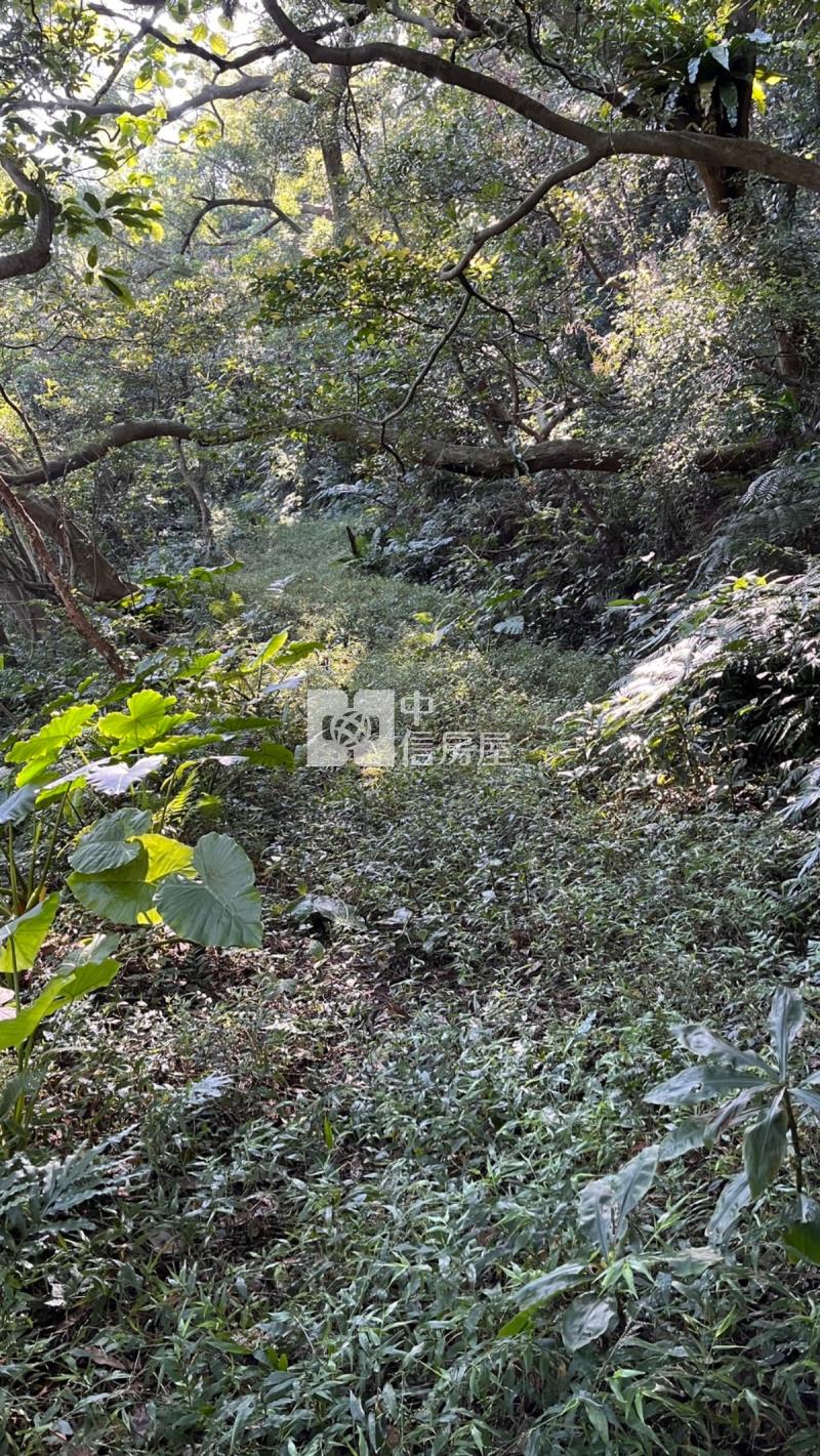 兔子坑開心農場房屋室內格局與周邊環境