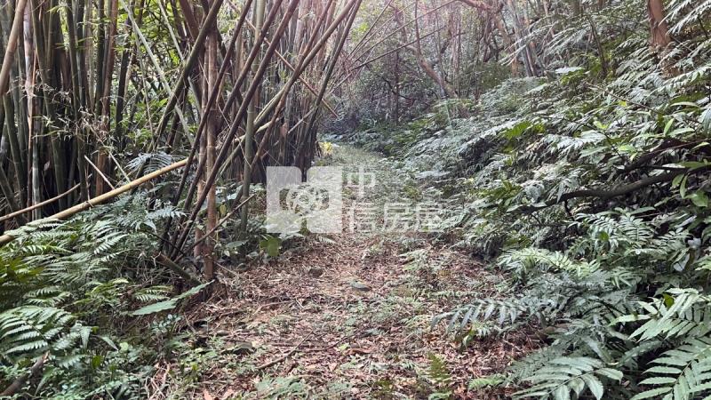 兔子坑開心農場房屋室內格局與周邊環境