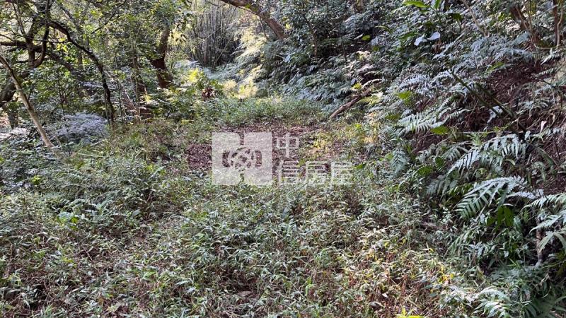 兔子坑開心農場房屋室內格局與周邊環境