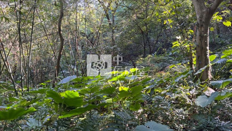 兔子坑開心農場房屋室內格局與周邊環境