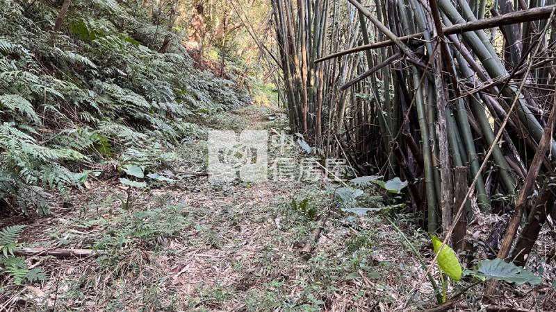 兔子坑開心農場房屋室內格局與周邊環境