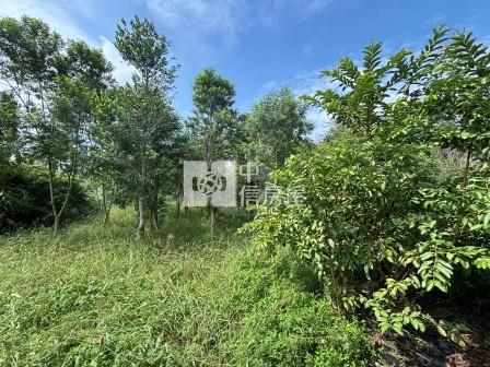 屏東農舍-長治大坪數合法農舍房屋室內格局與周邊環境