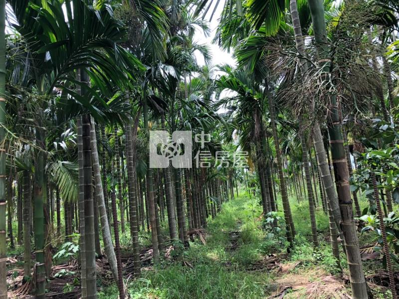 南州交流道莊內農地房屋室內格局與周邊環境