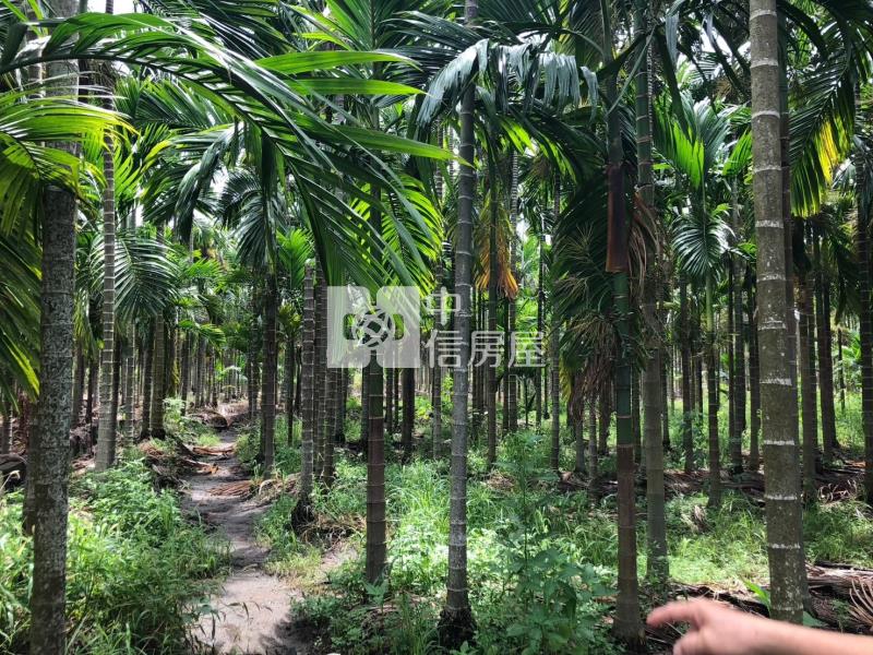 南州交流道莊內農地房屋室內格局與周邊環境