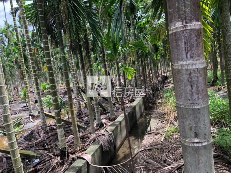 南州交流道莊內農地房屋室內格局與周邊環境