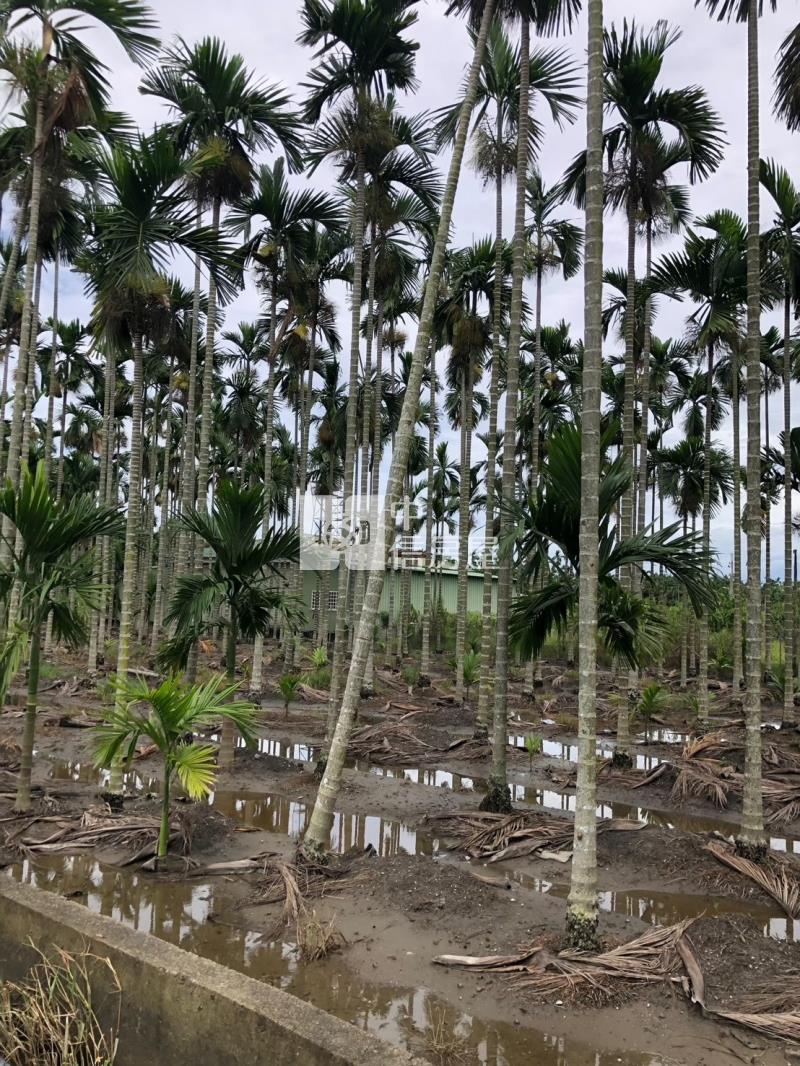 南州交流道莊內農地房屋室內格局與周邊環境