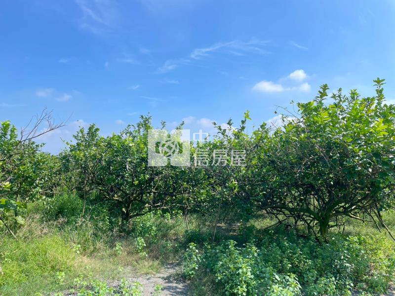 屏東市區小而美農地A房屋室內格局與周邊環境