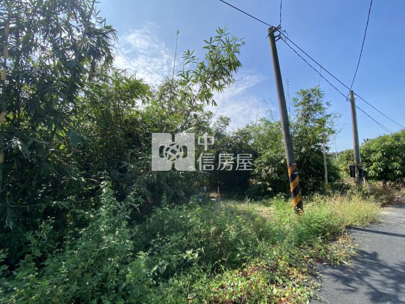 關廟新埔近湯山大道3分農地房屋室內格局與周邊環境