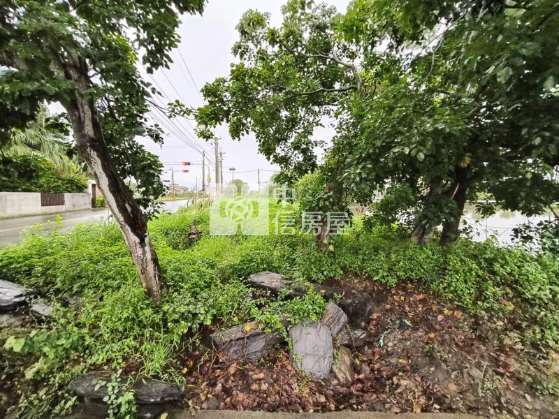 D225宜蘭員山146大面寬三角窗小農地房屋室內格局與周邊環境