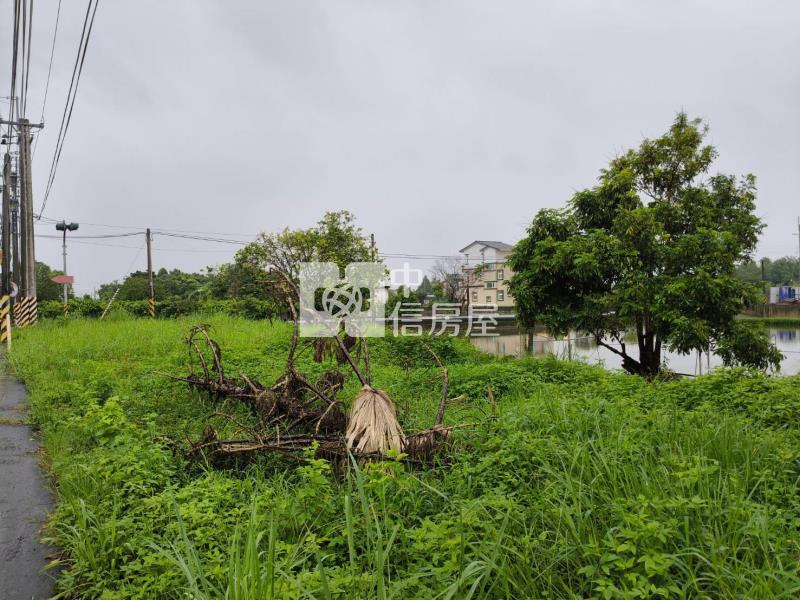 D225宜蘭員山146大面寬三角窗小農地房屋室內格局與周邊環境