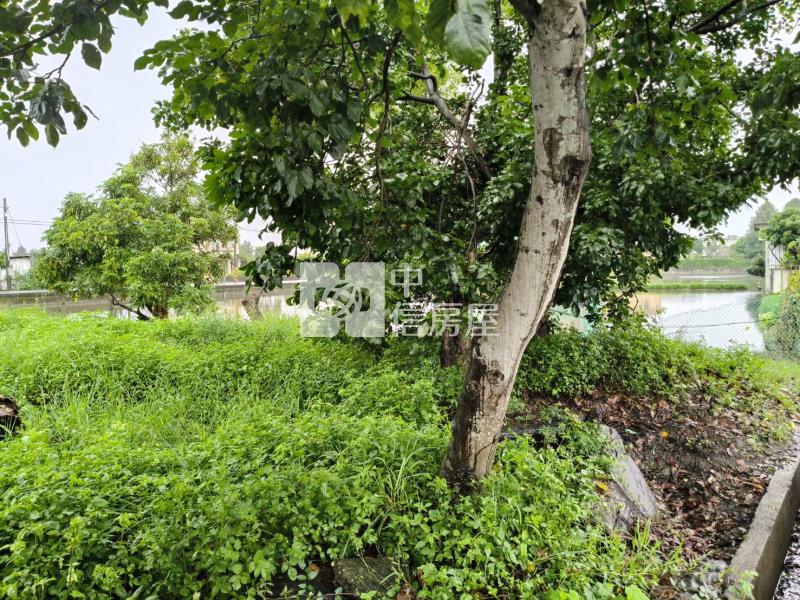 D225宜蘭員山146大面寬三角窗小農地房屋室內格局與周邊環境