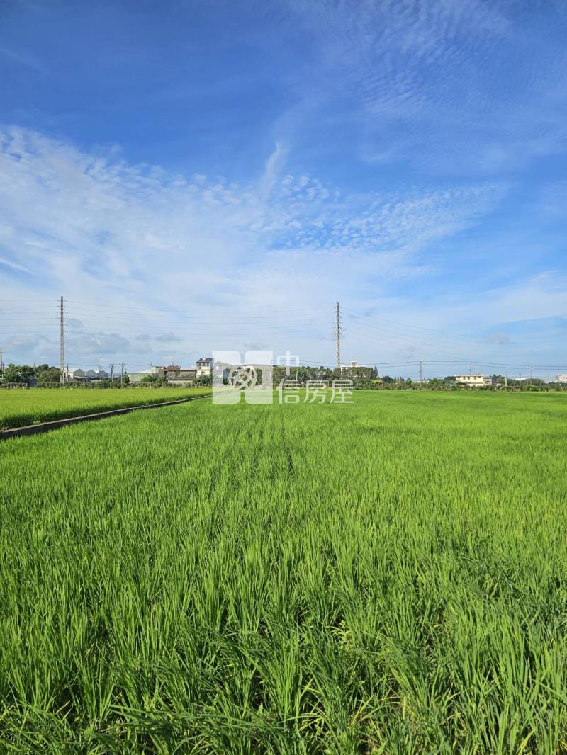 新屋市區寶樹路美農地房屋室內格局與周邊環境