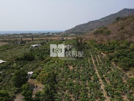 屏東土地-靠山面海民宿預定地房屋室內格局與周邊環境