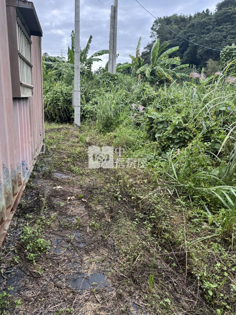 中豐公路台3線旁美農地房屋室內格局與周邊環境