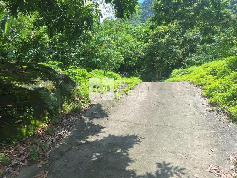 東山咖啡公路旁休閒美農地房屋室內格局與周邊環境