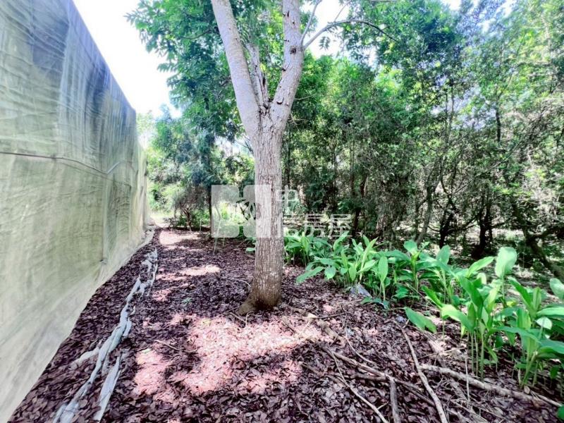 楠西5分1一般美農地房屋室內格局與周邊環境