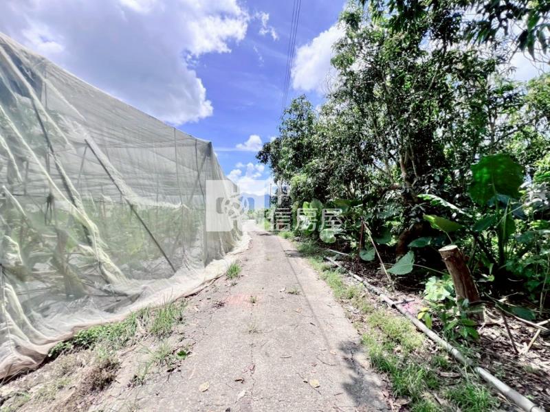 楠西5分1一般美農地房屋室內格局與周邊環境