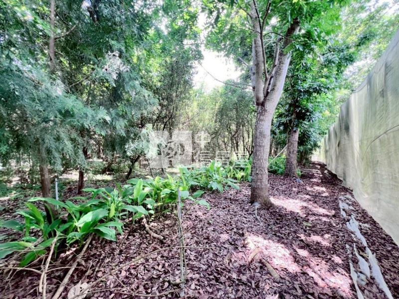 楠西5分1一般美農地房屋室內格局與周邊環境