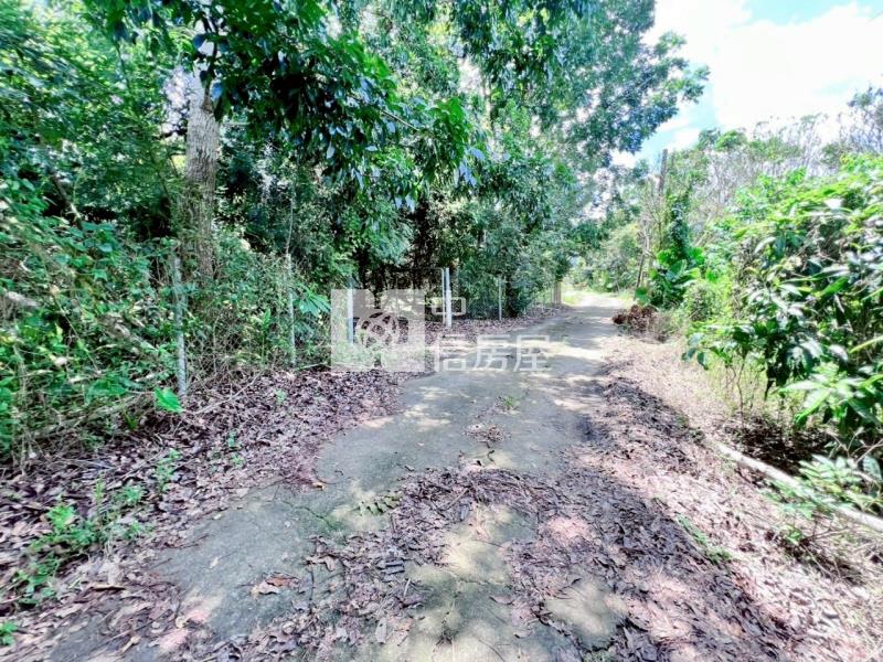 楠西5分1一般美農地房屋室內格局與周邊環境