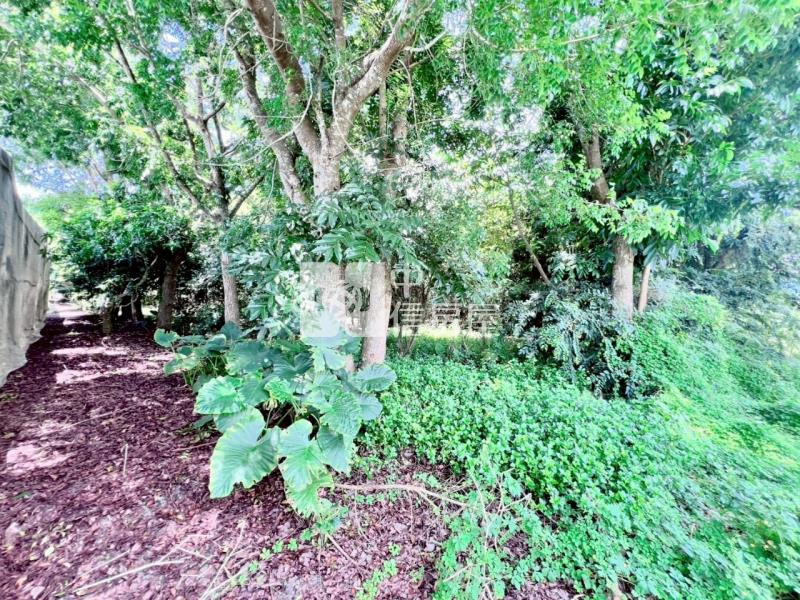 楠西5分1一般美農地房屋室內格局與周邊環境