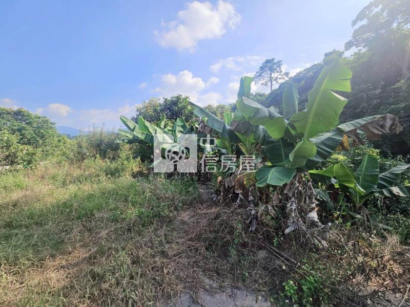 (專)東山臨14米東原道路4分4山坡美農地房屋室內格局與周邊環境