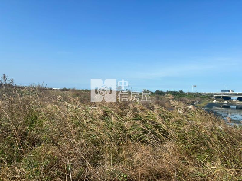 台西海口段房屋室內格局與周邊環境