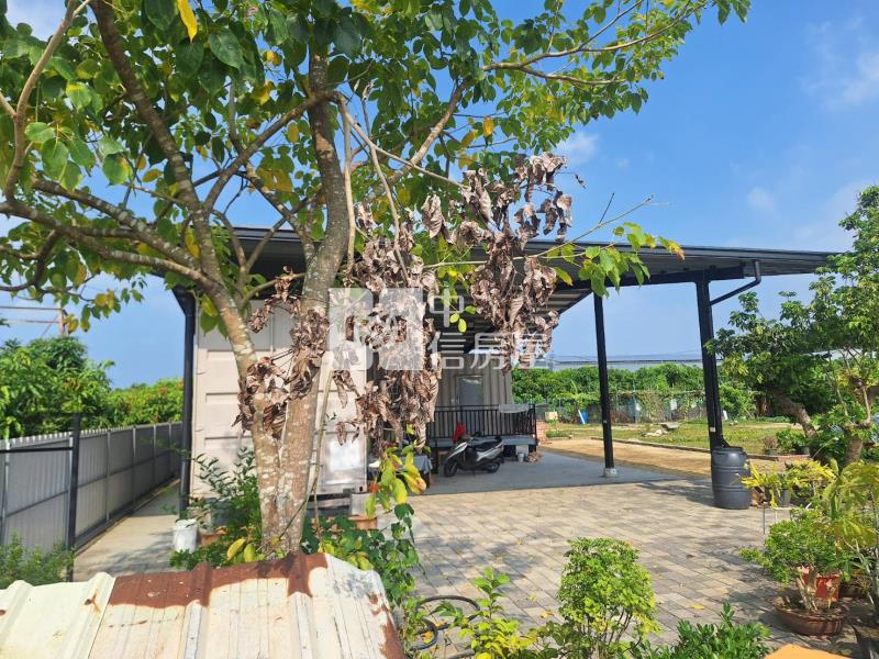 阿蓮大崗山好山好空氣農地房屋室內格局與周邊環境