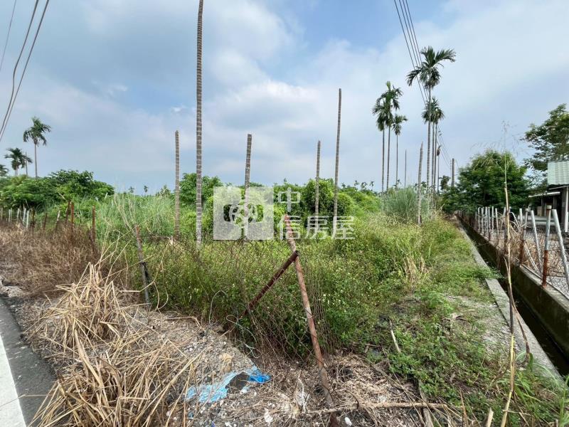 鹽埔稀有合法畜牧用地房屋室內格局與周邊環境