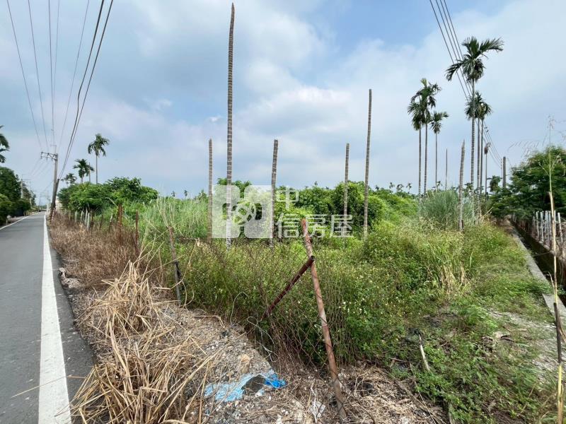 鹽埔稀有合法畜牧用地房屋室內格局與周邊環境